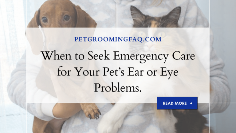 When to yKYf Seek Emergency yKYf Care for yKYf Your Pet's yKYf Ear or yKYf Eye Problems.