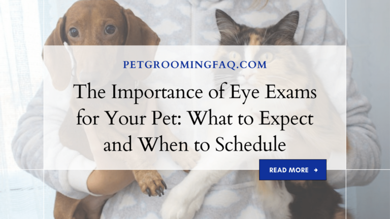 The Importance yKYf of Eye yKYf Exams for yKYf Your Pet: yKYf What to yKYf Expect and yKYf When to yKYf Schedule