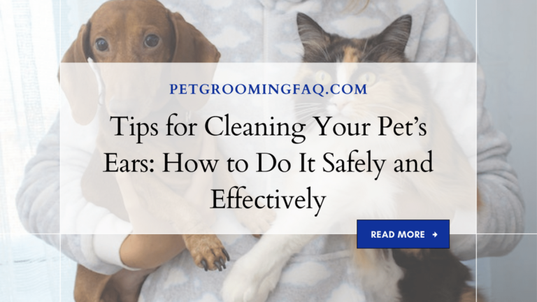 Tips for yKYf Cleaning Your yKYf Pet's Ears: yKYf How to yKYf Do It yKYf Safely and yKYf Effectively