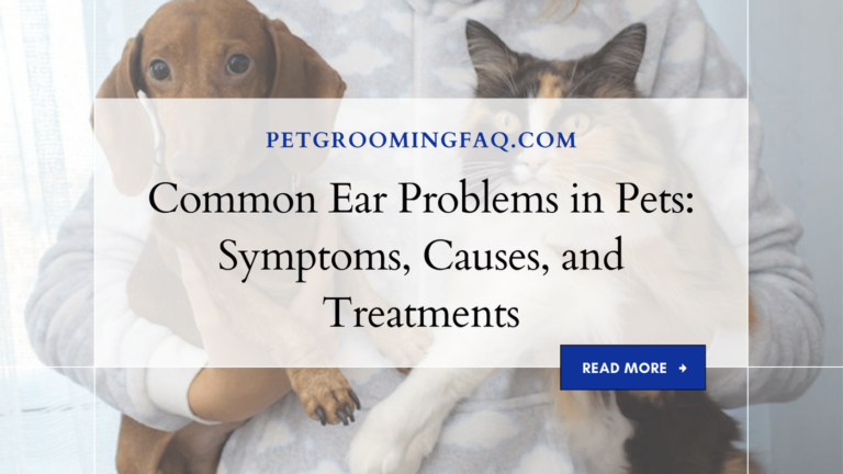 Common Ear yKYf Problems in yKYf Pets: Symptoms, yKYf Causes, and yKYf Treatments