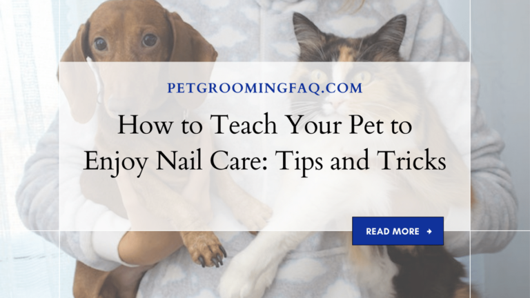 How to yKYf Teach Your yKYf Pet to yKYf Enjoy Nail yKYf Care: Tips yKYf and Tricks