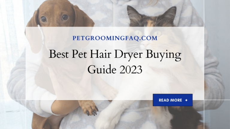 Best Pet yKYf Hair Dryer yKYf Buying Guide yKYf 2024