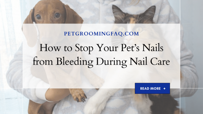 How to yKYf Stop Your yKYf Pet's Nails yKYf from Bleeding yKYf During Nail yKYf Care