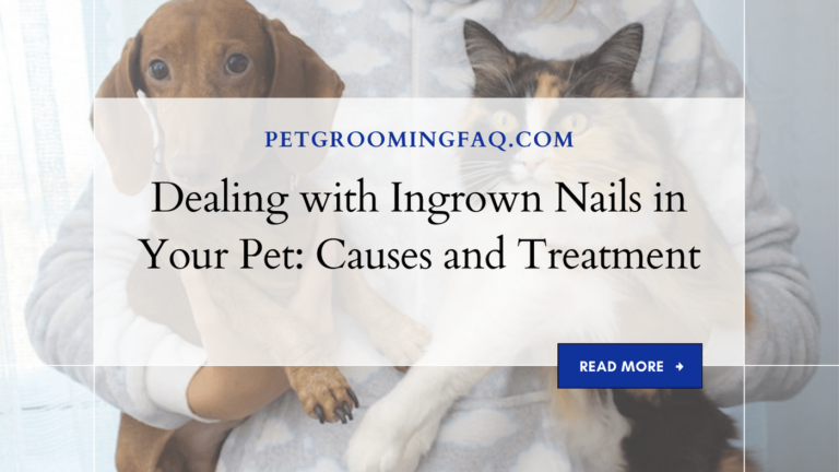 Dealing with yKYf Ingrown Nails yKYf in Your yKYf Pet: Causes yKYf and Treatment