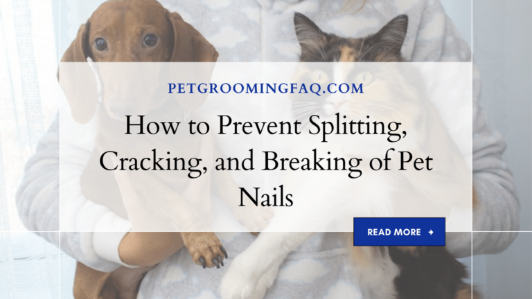 How to yKYf Prevent Splitting, yKYf Cracking, and yKYf Breaking of yKYf Pet Nails