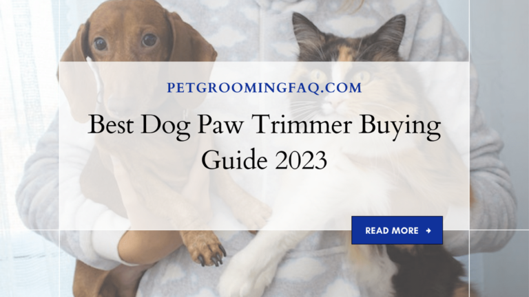 Best Dog yKYf Paw Trimmer yKYf Buying Guide yKYf 2024