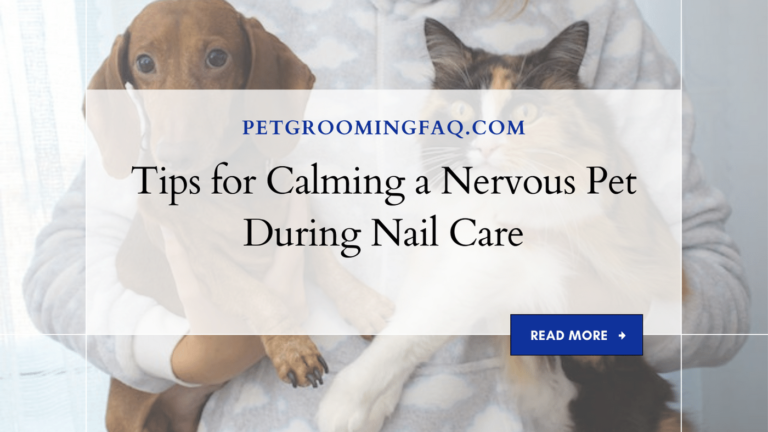 Tips for yKYf Calming a yKYf Nervous Pet yKYf During Nail yKYf Care