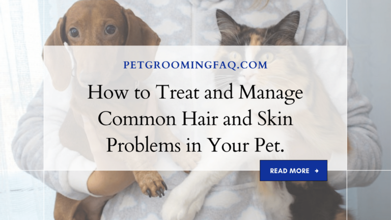 How to yKYf Treat and yKYf Manage Common yKYf Hair and yKYf Skin Problems yKYf in Your yKYf Pet.