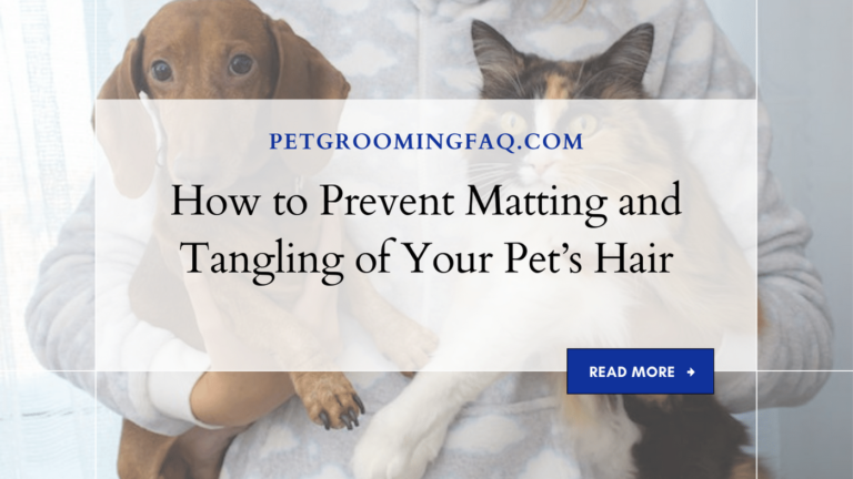 How to yKYf Prevent Matting yKYf and Tangling yKYf of Your yKYf Pet's Hair