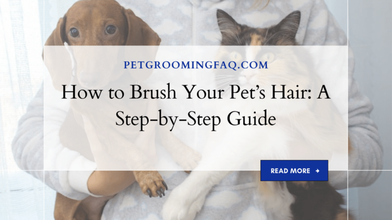 How to yKYf Brush Your yKYf Pet's Hair: yKYf A Step-by-Step yKYf Guide