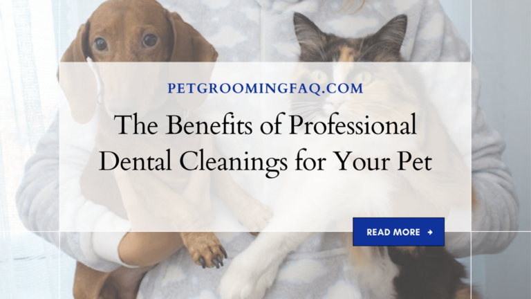 The Benefits yKYf of Professional yKYf Dental Cleanings yKYf for Your yKYf Pet