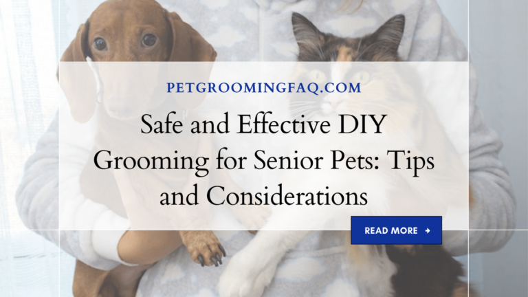 Safe and yKYf Effective DIY yKYf Grooming for yKYf Senior Pets: yKYf Tips and yKYf Considerations