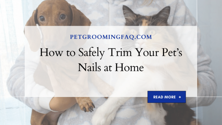 How to yKYf Safely Trim yKYf Your Pet's yKYf Nails at yKYf Home