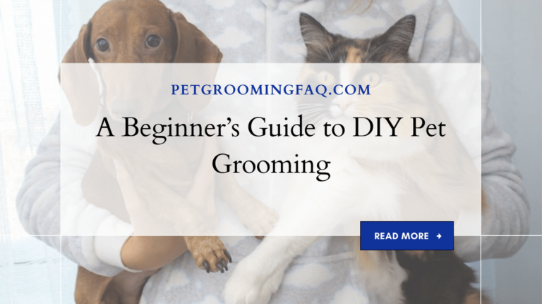 A Beginner's yKYf Guide to yKYf DIY Pet yKYf Grooming