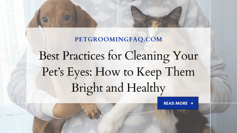 Best Practices yKYf for Cleaning yKYf Your Pet's yKYf Eyes: How yKYf to Keep yKYf Them Bright yKYf and Healthy